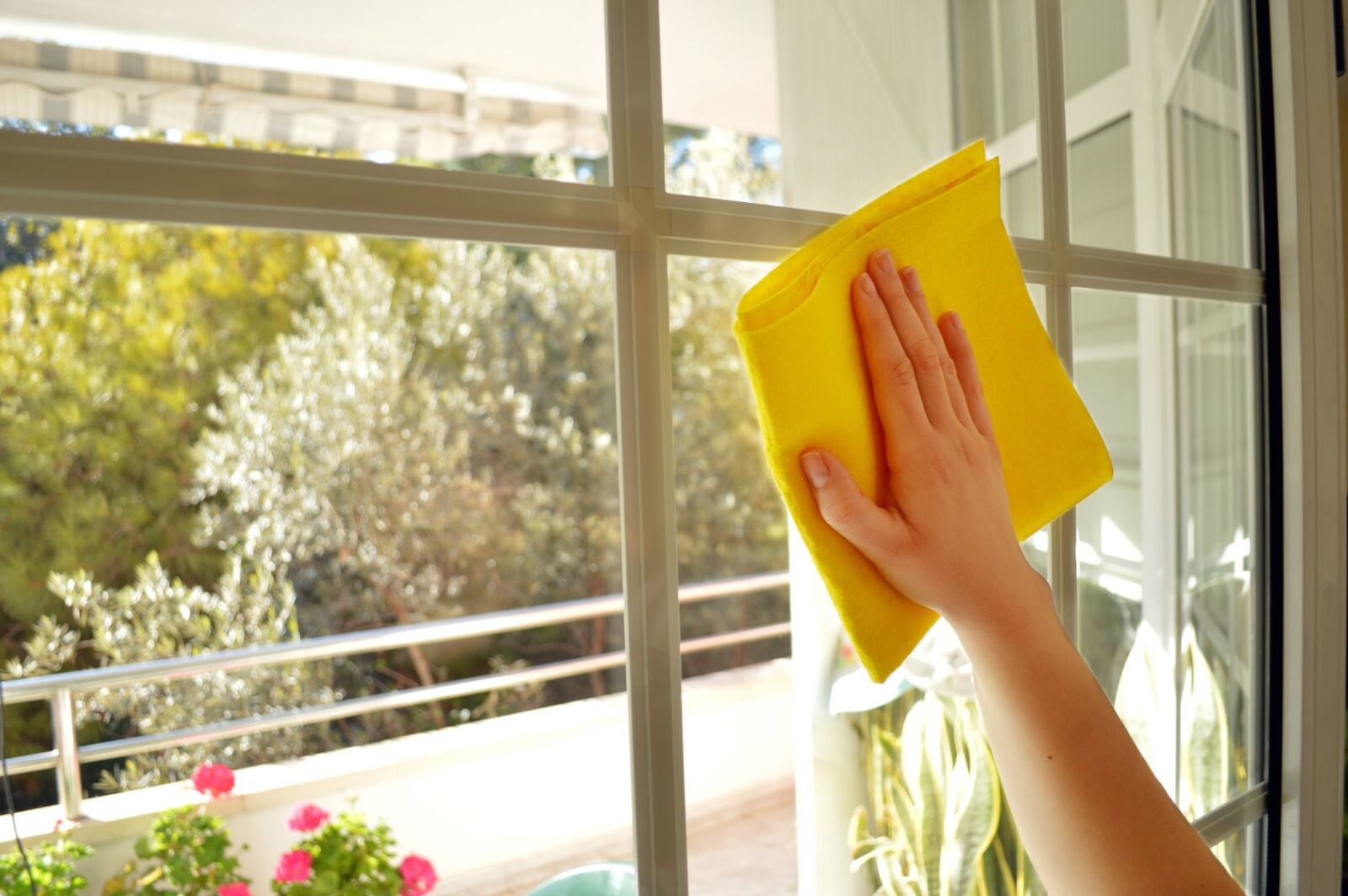 Cleaning & Maintaining Windows