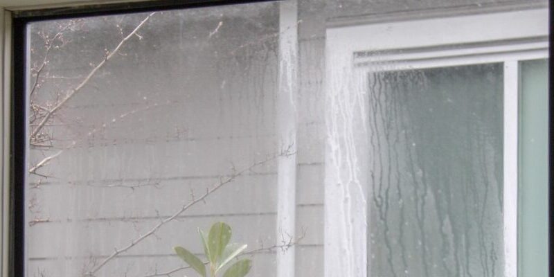 foggy windows