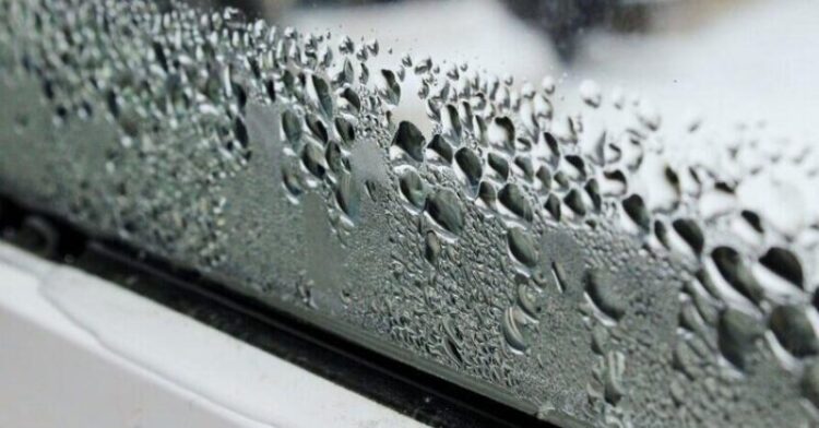 Outside Window Moisture
