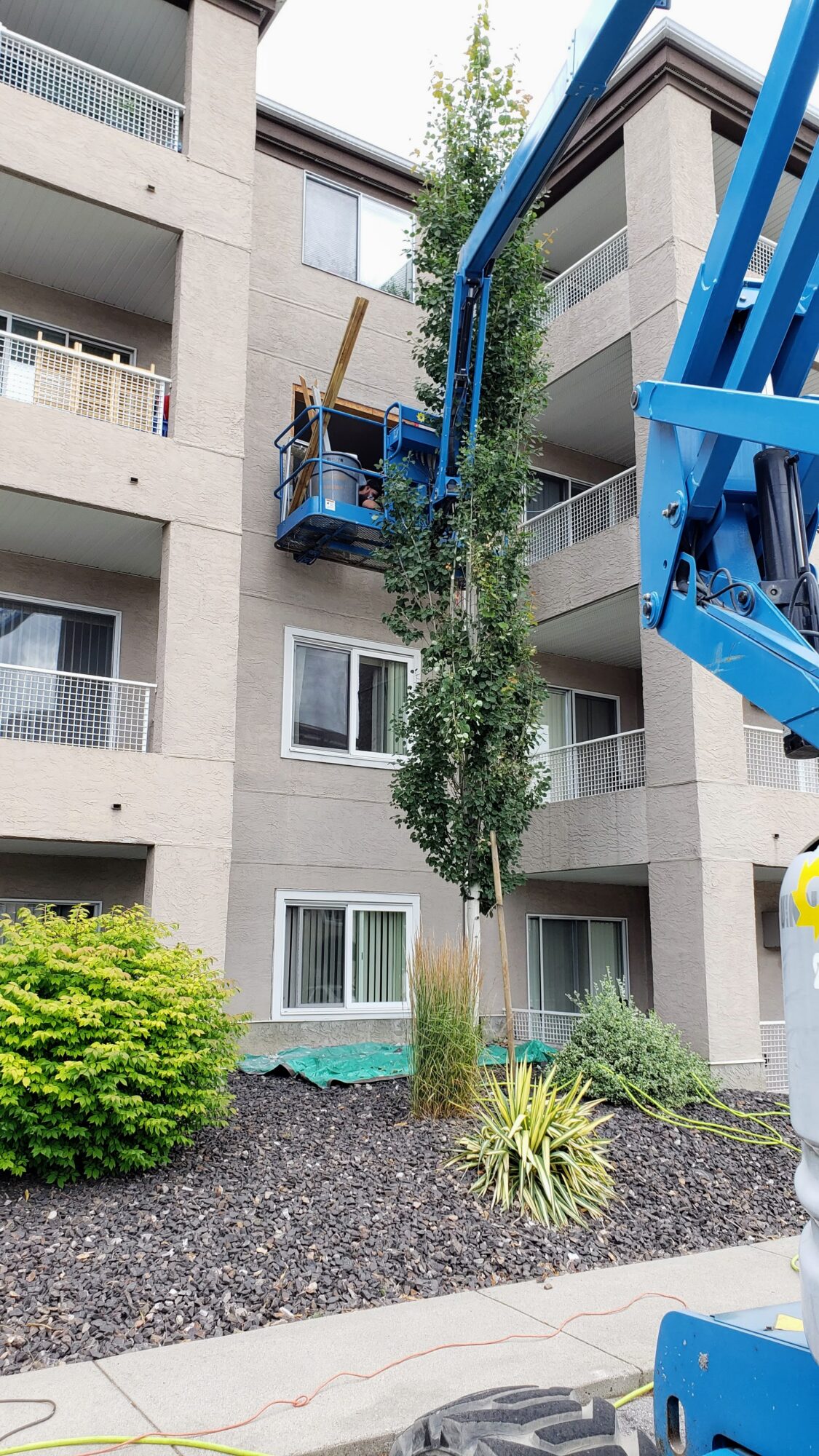 Adera installer removing an old window and applying peel-and-stick membrane to prep the opening at Quail Place, Kelowna.